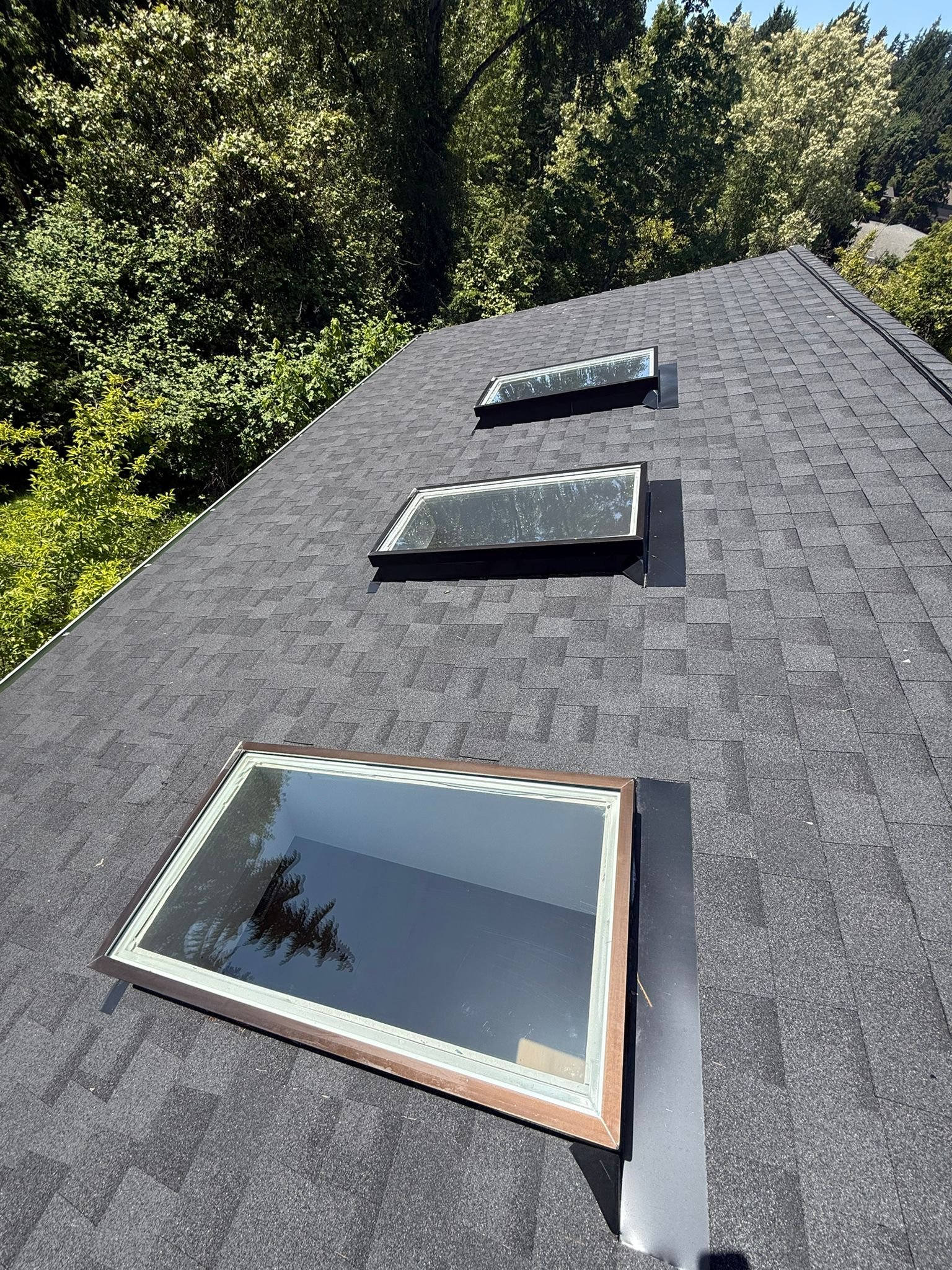 WhatsApp Image 2025-08-04 at 16.52.38 (1)